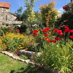 141734958_1603929906473436_9006126410153161893_n